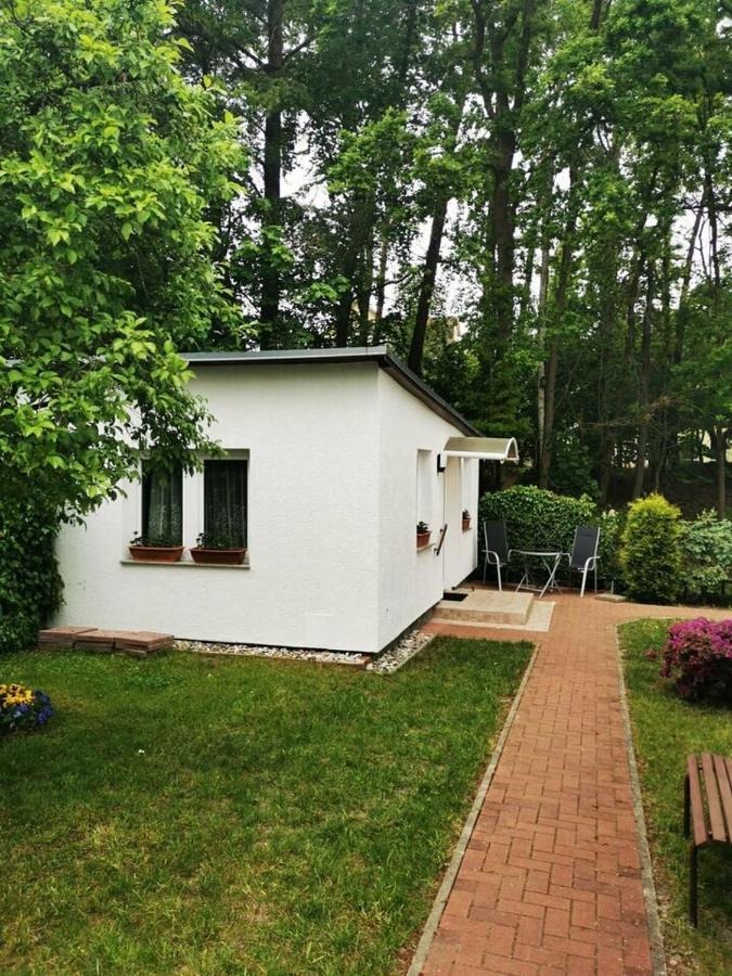 Ferienbungalow Im Igelbau Baabe Exterior photo